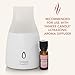 Yankee Candle Home Fragrance Oil | Pink Sands Scent | for Ultrasonic Aroma Diffuser