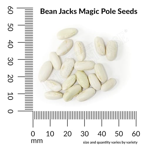 Image of Ferry-Morse Online Edition Bean Jack's Magic Pole Vegetable Plant Seeds - GMO Free, Outdoor - 7 Pack (Ferry-Morse Exclusive)
