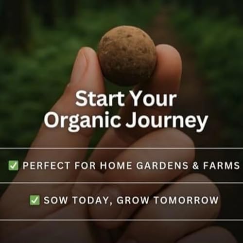 Image of Seed Balls for Garden Planting | Natural Clay Coated Easy Sow Seedling Starter | Eco‑Friendly Gardening & Reforestation Tool (Pack of 1)