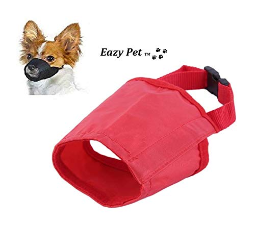 dog muzzle red