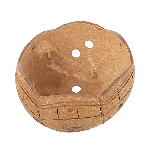 Toyvian 2 Piezas Colgando Una Olla De Flores Suculentas Palma De Planta Maceta Colgante Suculento Maceteros Fibra De Maceta De Bonsai Decorativa Marrón Cascara De