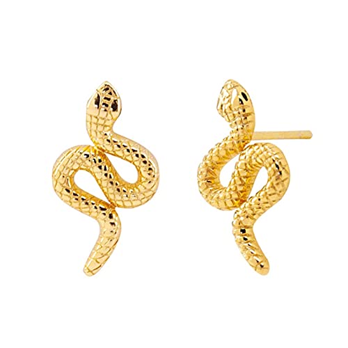 Boucles d'oreilles Serpent en Argent 925 Vintage Feng Shui pour Femme