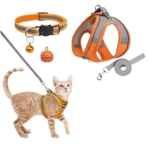 Harnais de chat avec laisse anti-rupture, respirant avec bandes réfléchissantes, durable, doublure intérieure douce et maille respirante, orange (XXXXS)