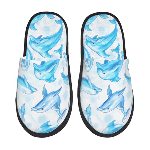 [zhandiffy]  C C̐ j~pXbp tH[jpXbp M