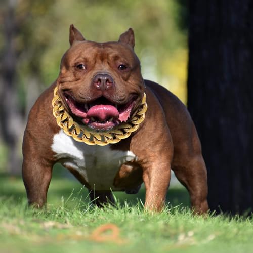 BAOBOTE Goldfarbenes Hundehalsband, 23 mm, mit kubanischem Glieder-Hundehalsband, robustes Trainingshalsband, kaufest für mittelgroße Hunde (45,7 cm, Gold)