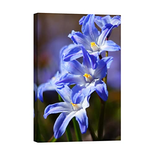 Tableau fleurs luminescent haut de gamme sur toile canvas 80 x 120 cm