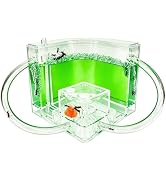 Amazon.com: EXBEPE Ant Farm for Kids Safety and Environment Gel