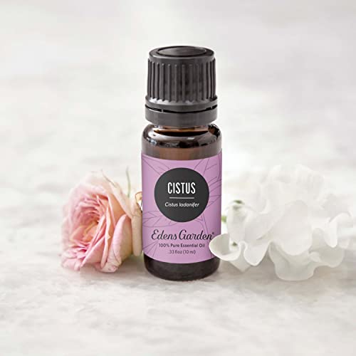 Edens Garden Cistus Essential Oil, 100% Pure Therapeutic Grade (Undiluted Natural/Homeopathic Aromatherapy Scented Essential Oil Singles) 10 Ml #TOP1