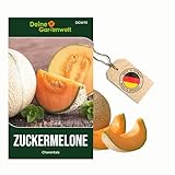 Zuckermelonen Charentais Samen - Cucumis melo - Melonensamen - Obstsamen - Saatgut für 15 Pflanzen