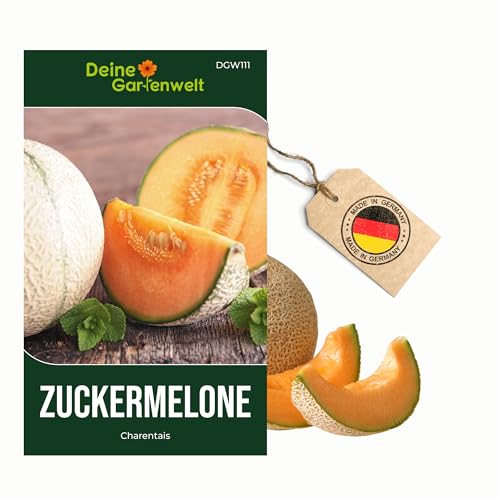 Zuckermelonen Charentais Samen - Cucumis melo - Melonensamen - Obstsamen - Saatgut für 15 Pflanzen