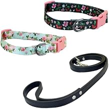 Fashion 3 Pieces Flower Pattern Dog Leash and Dog Collar Puppy Collar for Medium Dogs Large Dogs m - BlackBlue - L