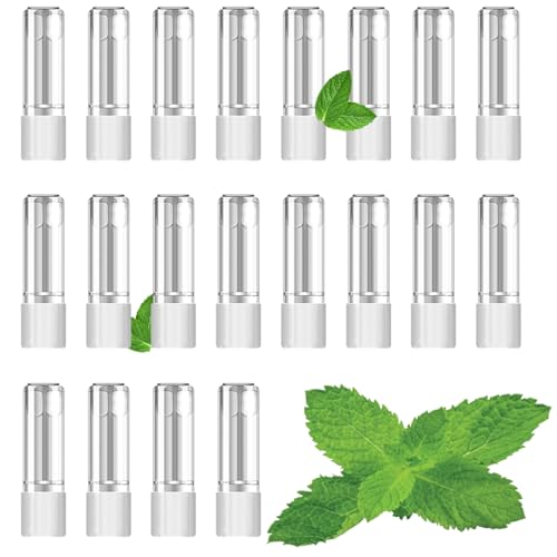 ECOCCO v[ebNvX ݊J[gbW Ploom tech plus݊ PT+bdlE{ijR`/^[/FfYj (NA\[*20)