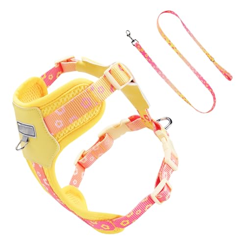 屋外散歩用犬ハーネス - 小型・中型犬用、リード付きセット | 柔らかい素材、調整可能 | 日常散歩、屋外活動、近所の散策に適し | 犬に負担をかけない中型犬用リードセット 街散策