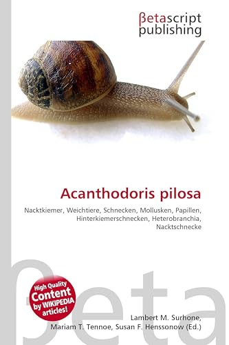 Acanthodoris pilosa: Nacktkiemer, Weichtiere, Schnecken, Mollusken, Papillen, Hinterkiemerschnecken, Heterobranchia, Nacktschnecke