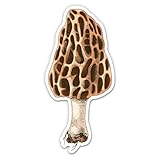 Morel Mushroom - 3' Vinyl Sticker - for Car Laptop Water Bottle Phone - Waterproof Decal
