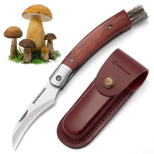 DRACHENADER N-1 Navaja para setas con cepillo (integrado), Liner Lock, Vaina de cuero, Navaja para setas con mango de madera y cepillo para setas