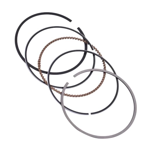 Piston de rechange pour cylindre TT-R250 segments et axe de 18mm moto