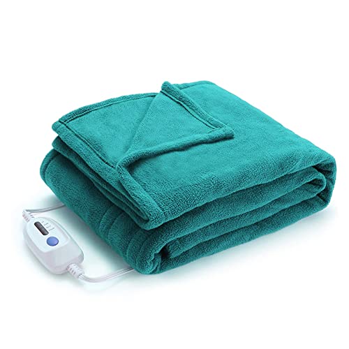 Best Electric Heated Blanket Best Cost