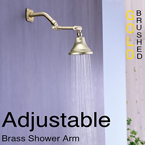 Trustmi 4 Inch Brass Shower Arm Adjustable Height Shower Head Extension Arm Mount, Brushed Gold #TOP1