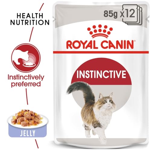 Royal Canin Instinctive Jelly | 12 x 85 g | Alleinfuttermittel für Katzen | Ausgewogene Rezeptur