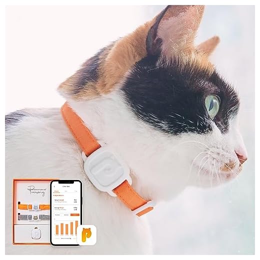 PurrSong LavvieTAG with 2 Straps Smartwatch for Cat Intelligent ID Tag Light (0.01lbs) Monitor Kitten Collar Activity Analysis Heath Care Calrorie Measurement App Integration Felines Fitness Tracker