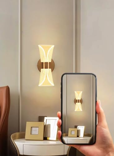 Image of Groeien 12W | 3 Color LED Nordic Sconce Golden Mesh Transparent Indoor Home Acrylic Wall Lamp for Bedroom Living Room Corridor Lighting Fixtures Wall Mount(Warm+Natural+Coolwhite)