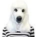Standard Poodle Mask Dog Halloween Costume Face Mask - Off the Wall Toys Kennel Club (White)