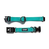 Stunt Puppy Teal Small