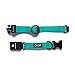 Stunt Puppy Fi Series 3 Ready Dry Collar, Teal, Large, Fi GPS Device Not Included