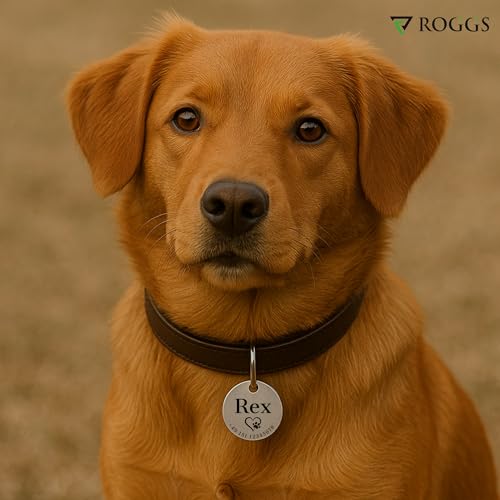 ROGGS Hundemarke mit Gravur – personalisierte Hundemarken Edelstahl rund – Dog Tag Namensschild Hund für Halsband, Adressanhänger beidseitig inkl. QR Code für Hunde, Katzen, Welpen (25mm)