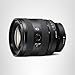 Sony FE 20-70mm f/4 G Lens (Sony E)