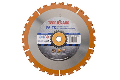 Premier Diamond DP16740 P6-TS TERRASAUR Tungsten Carbide Cluster Saw Blade for Multi-Purpose Use, Silver, 300 x 20 mm