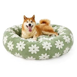 Lesure Donut Small Dog Bed – Round Cat Beds for Indoor Cats Anti-Anxiety Calming Pet Beds, Washable Cute Modern Beds with Teddy Sherpa Plush & Anti Slip Bottom Green