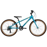 Amazon | コーダーブルーム(KhodaaBloom) 【完全組立配送】 タンケン