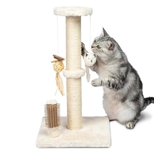 Best Pet Supplies Catify Cat Scratcher, Fun Interactive Scratchers, Posts, Poles, Claw Safe, Furniture Saver Indoor Play Support Natural Cat Behaviors Heavy Duty – Beige