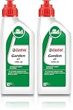 Castrol GARDEN 4T 10W-30 4-Takt Motoröl, 1L (Packung mit 2)
