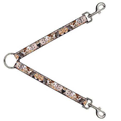 Correa para gatos Buckle-Down apilada de 2.5cm de ancho y 76cm 2