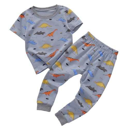 Ukyzddio Little Boys Cotton Pajamas Sets Dino Pjs Jammies Kids Short Sleeve Top with Long John Toddler Snug Fit 2 Piece Sleepwear Grey Size 4T