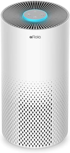 home best air purifier for wildfire smoke