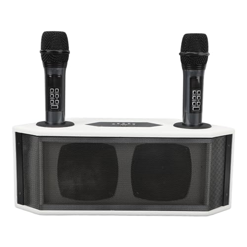 Conjunto de Alto-falantes Com Microfone, Máquina de karaokê Em Modo DSP Com Microfones Brancos para