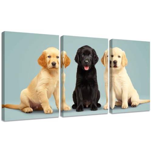 Kit Broderie Diamant Chien Complet 45x60cm Strass Rond pour Adulte