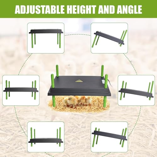 Shaledig Chick Brooder Heater Plate, 12"x16" Warmer Brooder Plate for Chicks with Adjustable Height & Temperature Display, 30W Temperature Control Brooder Heating Plate for 40 Baby Chicks Duck by Shaledig - Image 7