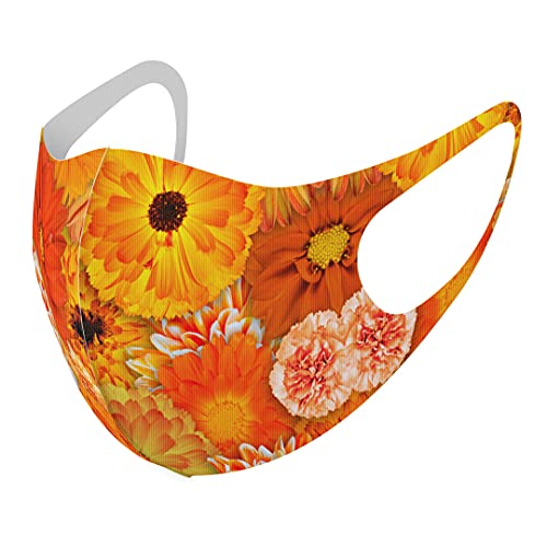 [igsticker] fUC }XN QZbg |GXe 􂦂 z}XN XLTCY 傫 jp 000934 t[  IW