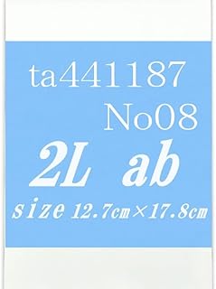 画材 ka441187 2L2枚-No.08