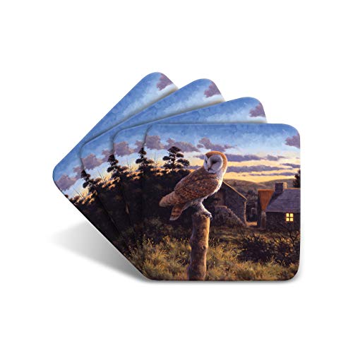 Sous-verres en liège chouette Julian Friers, cadeau idéal pour amateurs de nature - 2