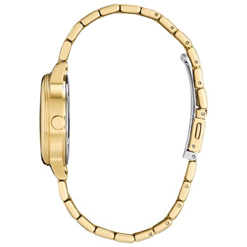 Image of Citizen Ladies Eco-Drive Dress Classic Watch