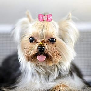 GLOGLOW 15Pcs Pet Hair Bowknot, Multicolor Hair Bowknot Bows Grooming Accessories Mixed Styles Pet Cat Puppy Topknot for Cat Medium Small Dog GLOGLOW 15Pcs Pet Hair Bowknot, Multicolor Hair Bowknot Bows Grooming Accessories Mixed Styles Pet Cat Puppy Topknot for Cat Medium Small Dog