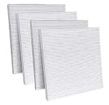 AF56060 Cabin Air Filter Fits Mack Anthem Granite Pinnacle Trucks