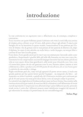 Rose Antiche E Vintage. Ediz. A Colori - 2