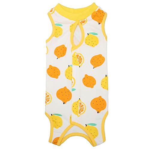 Roupas para Castração de Gatos, Roupas Cirúrgicas para Gatos Fofos de Algodão Macio para Castração d